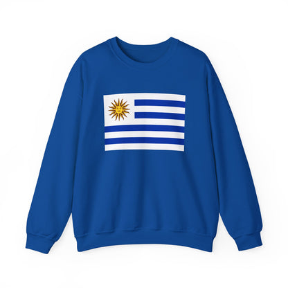 Uruguay Flag Sweatshirt