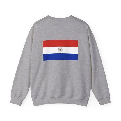 Paraguay Flag Sweatshirt