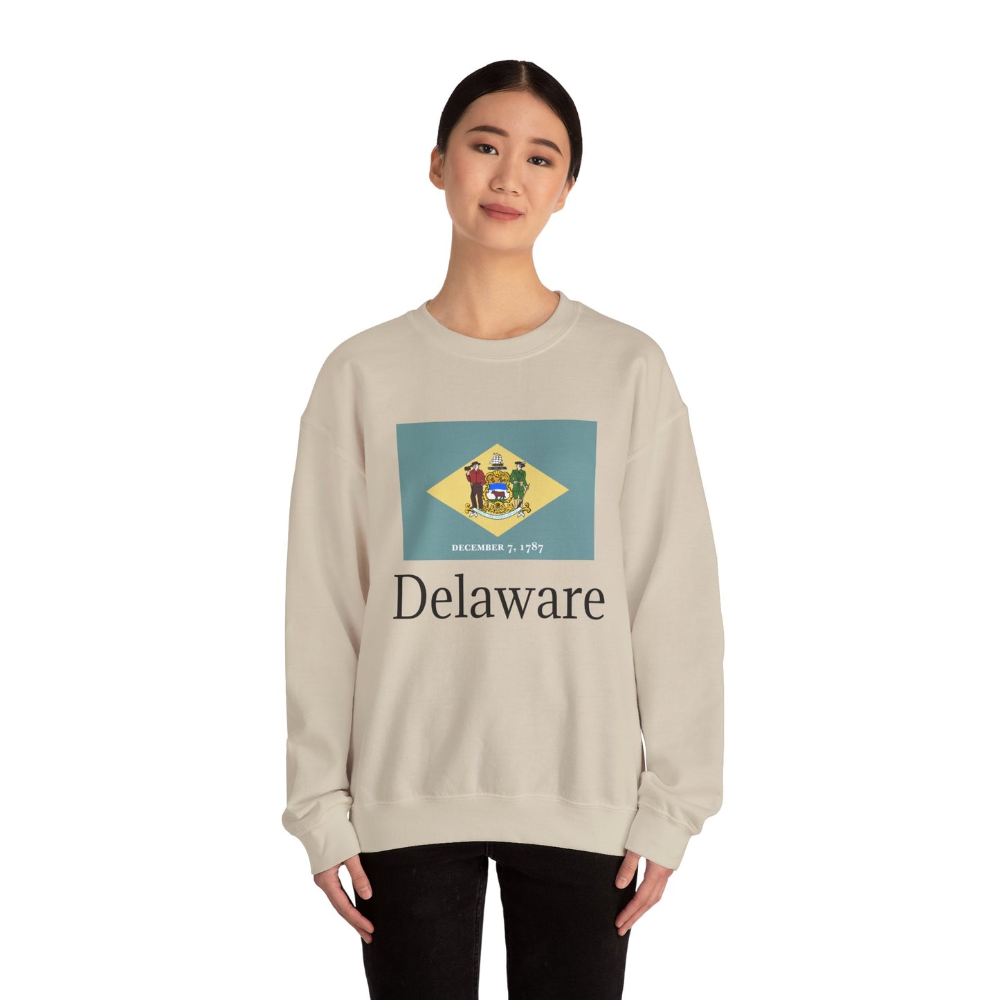 Delaware Sweatshirt