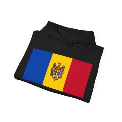 Moldova Flag on Hoodie