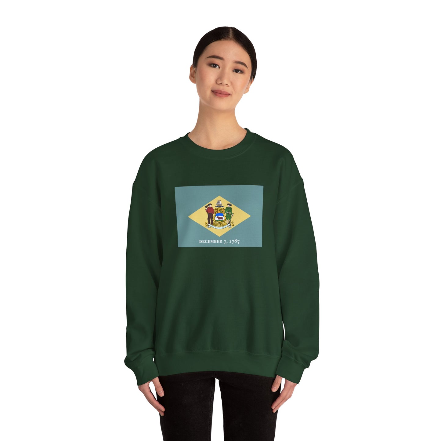 Delaware Flag Sweatshirt