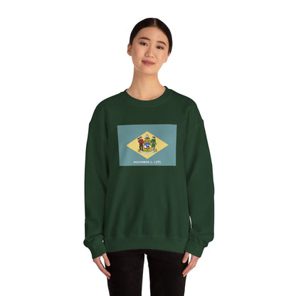 Delaware Flag Sweatshirt