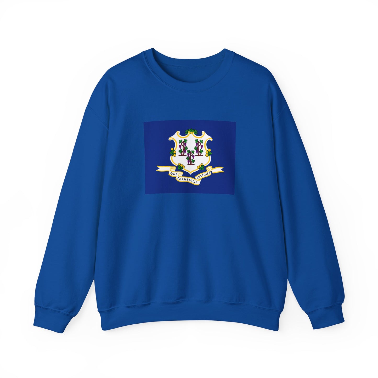 Connecticut Flag Sweatshirt