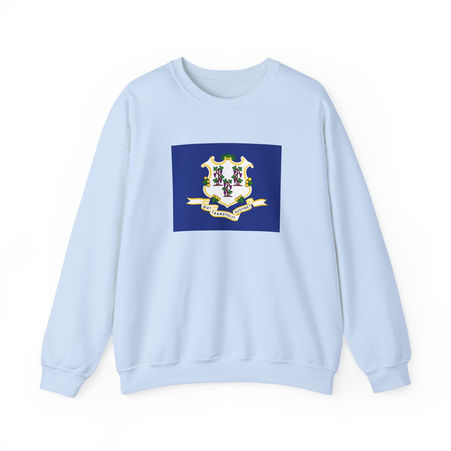 Connecticut Flag Sweatshirt