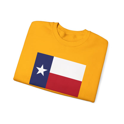 Texas Sweatshirt