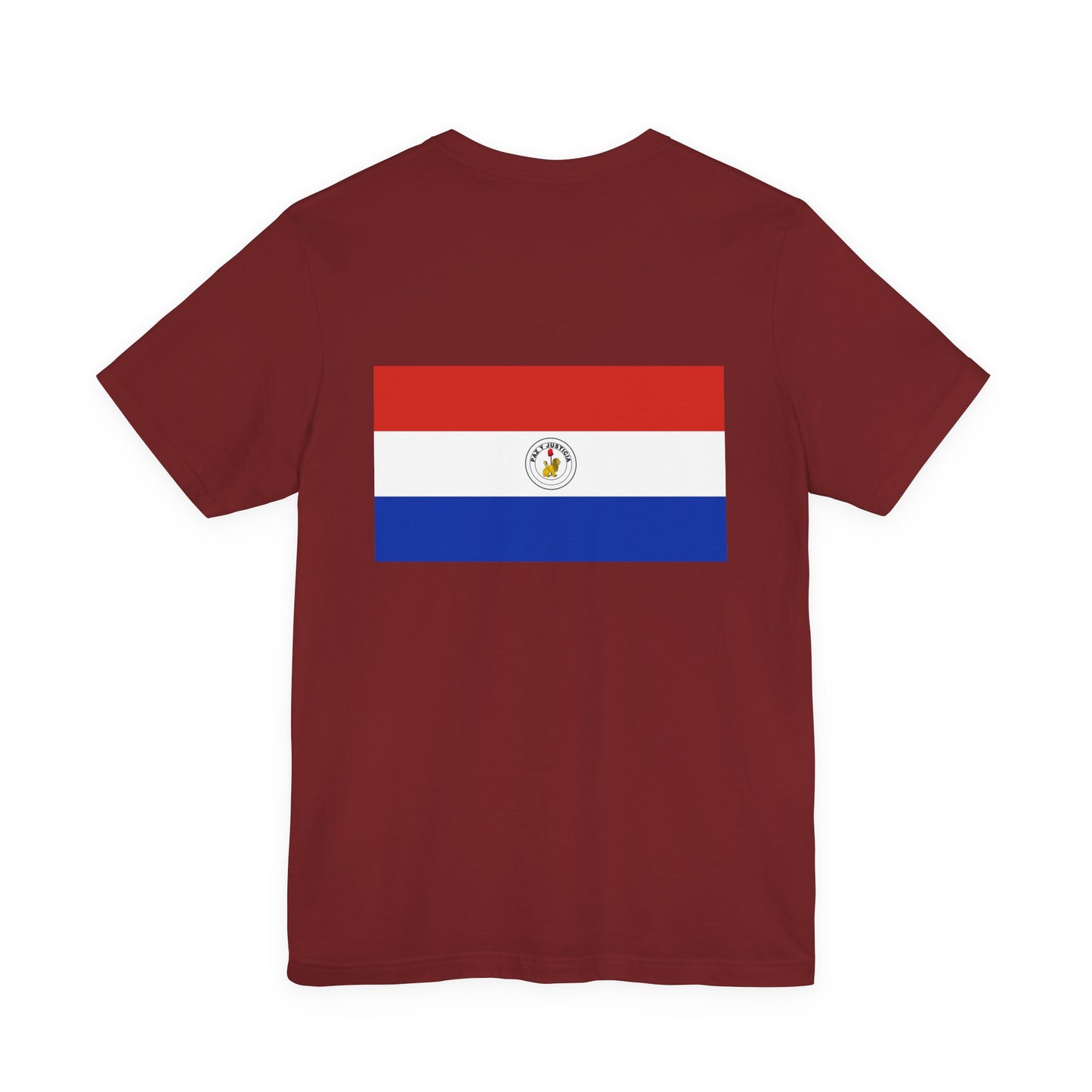 Paraguay Flag on T-shirt