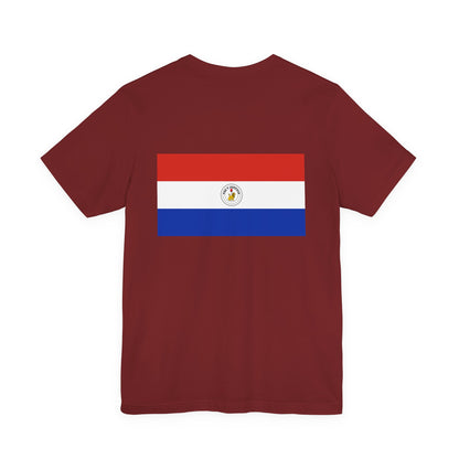 Paraguay Flag on T-shirt