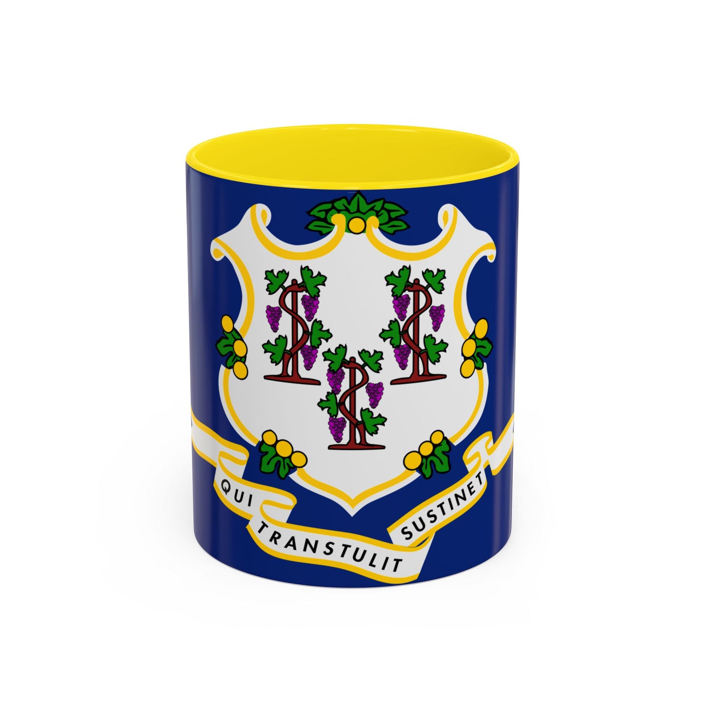 Connecticut Mug