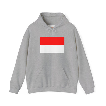 Indonesia Flag Hoodies