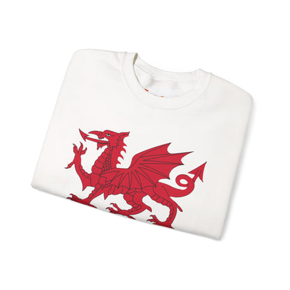 Welsh Dragon Sweatshirt