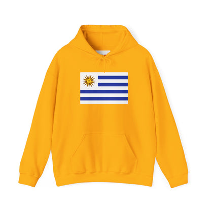 Uruguay Flag Hoodies