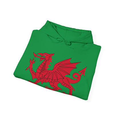 Welsh Dragon Hoodies