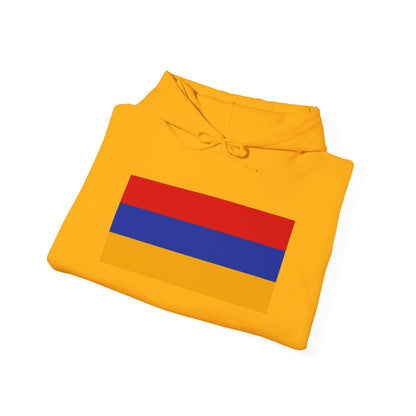 Armenia Flag Hoodies