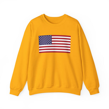 United States Flag Sweatshirt