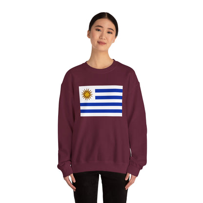 Uruguay Flag Sweatshirt