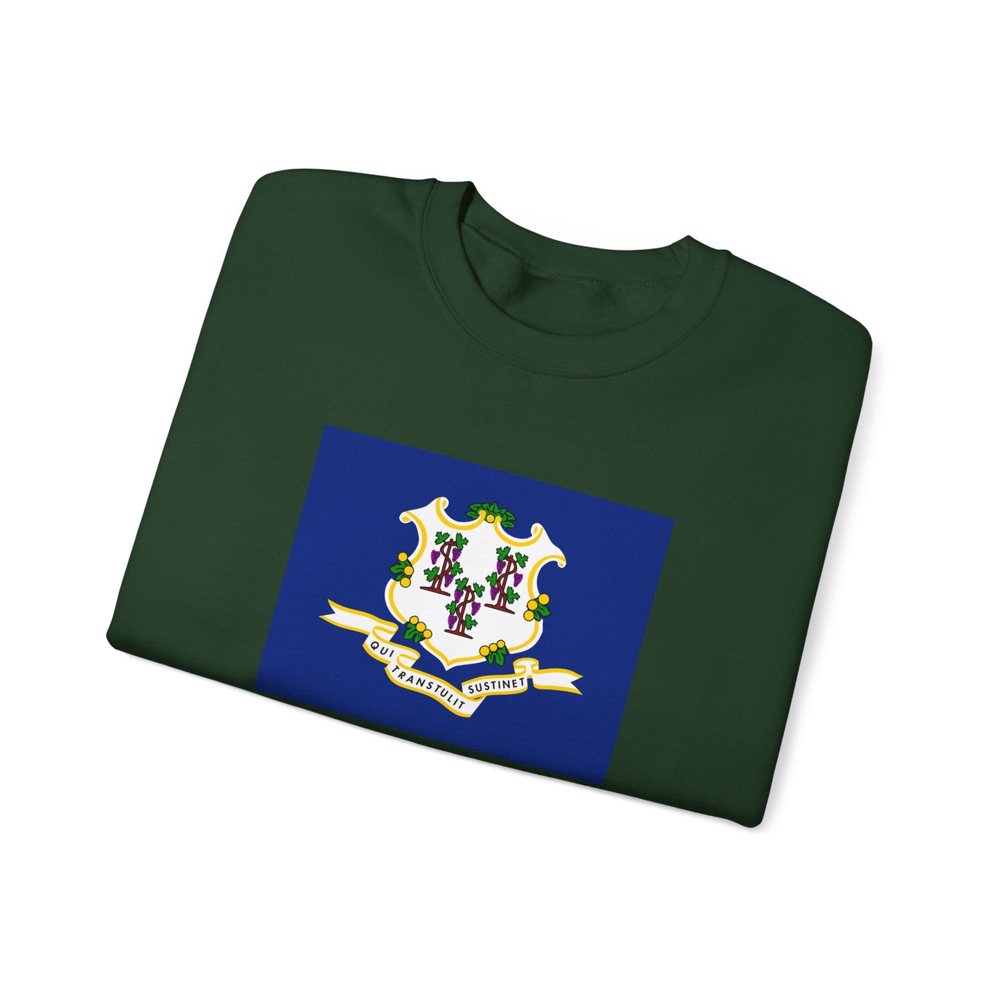 Connecticut Flag Sweatshirt
