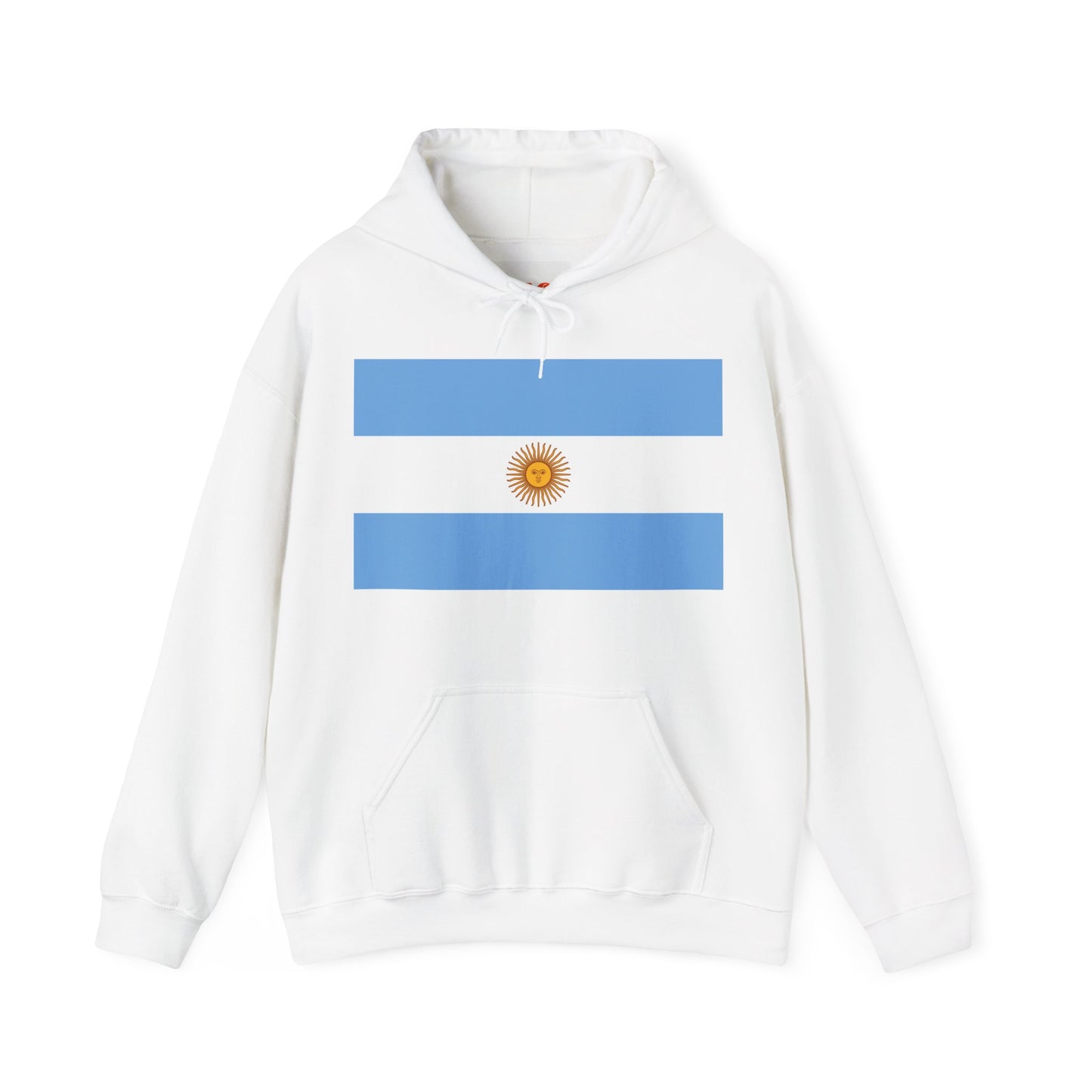 Argentina Flag on Hoodie