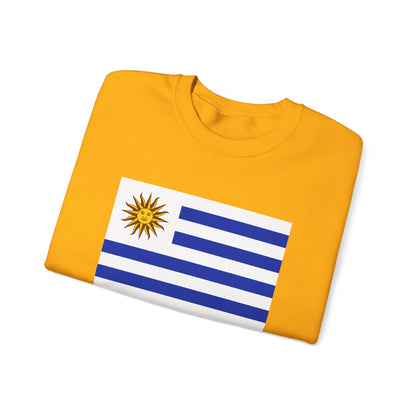 Uruguay Flag Sweatshirt