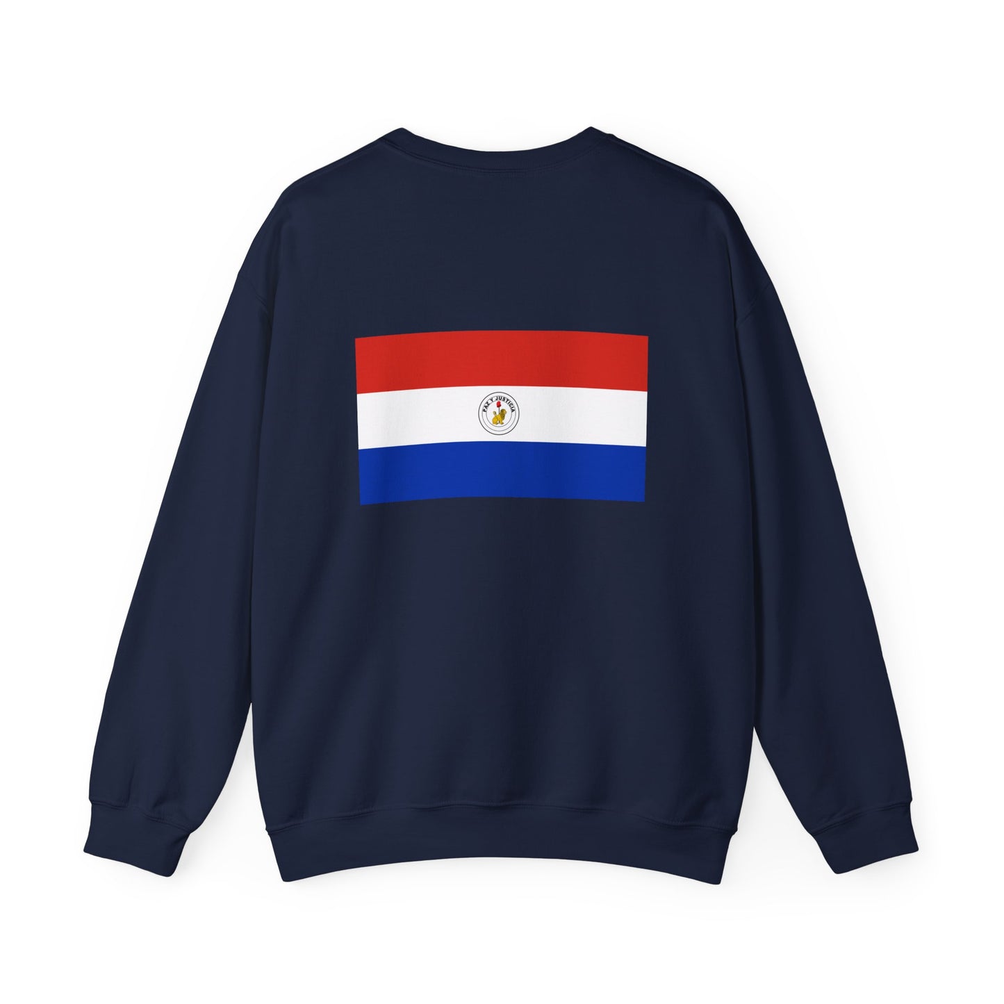 Paraguay Flag Sweatshirt