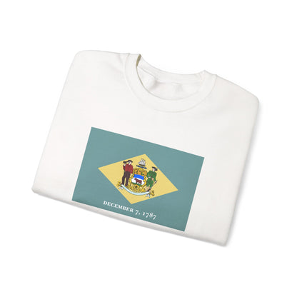 Delaware Flag Sweatshirt