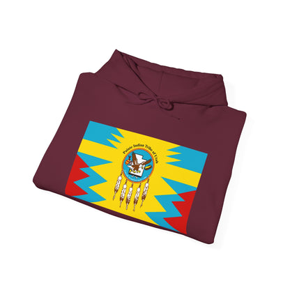 Paiute Hoodies