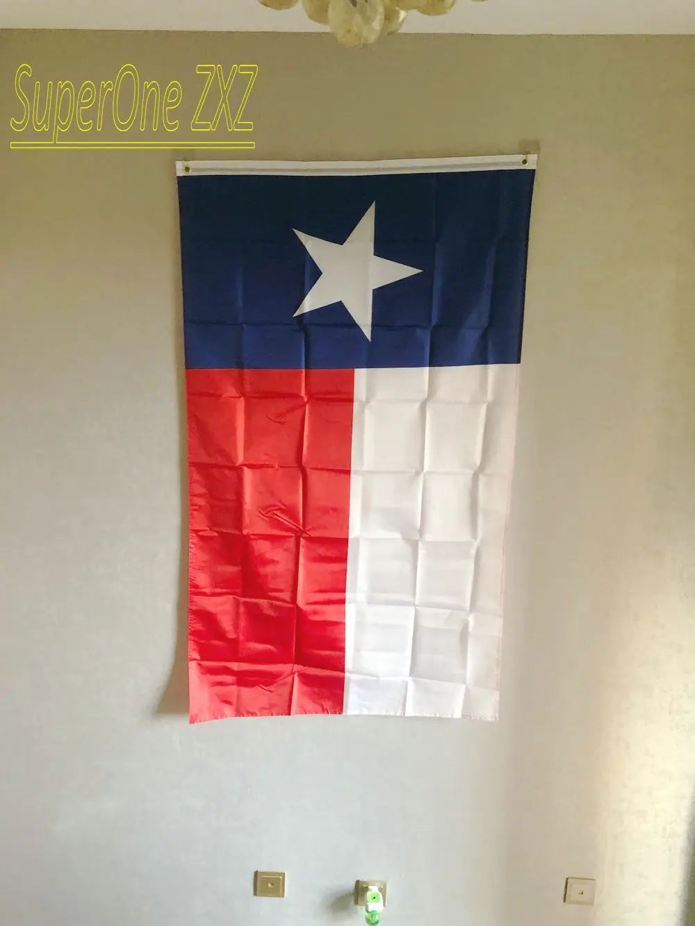 Texas Flag