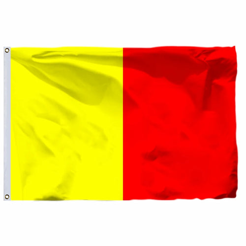 France 19 City Flags