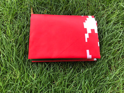 Belarus Flag