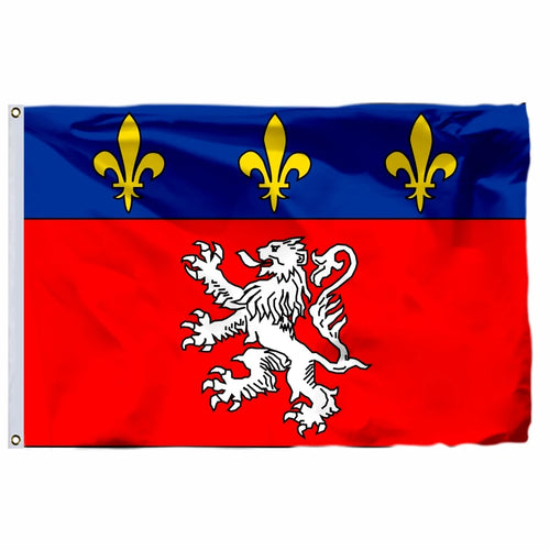 France 19 City Flags