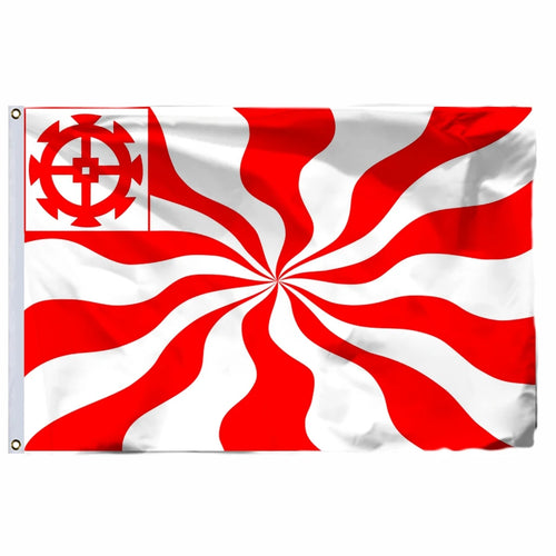 France 19 City Flags