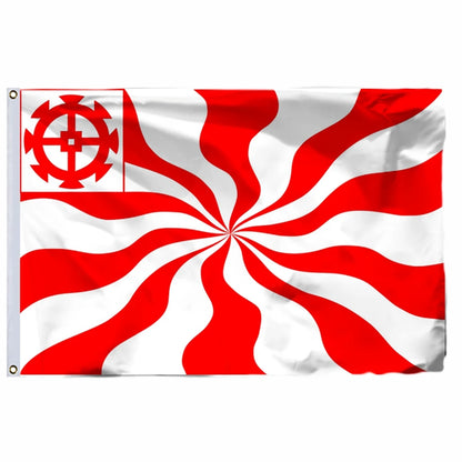 France 19 City Flags