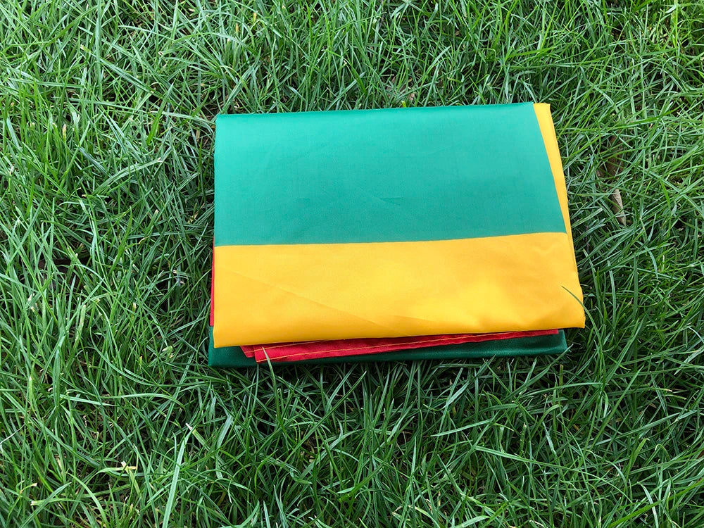 Lithuania Flag