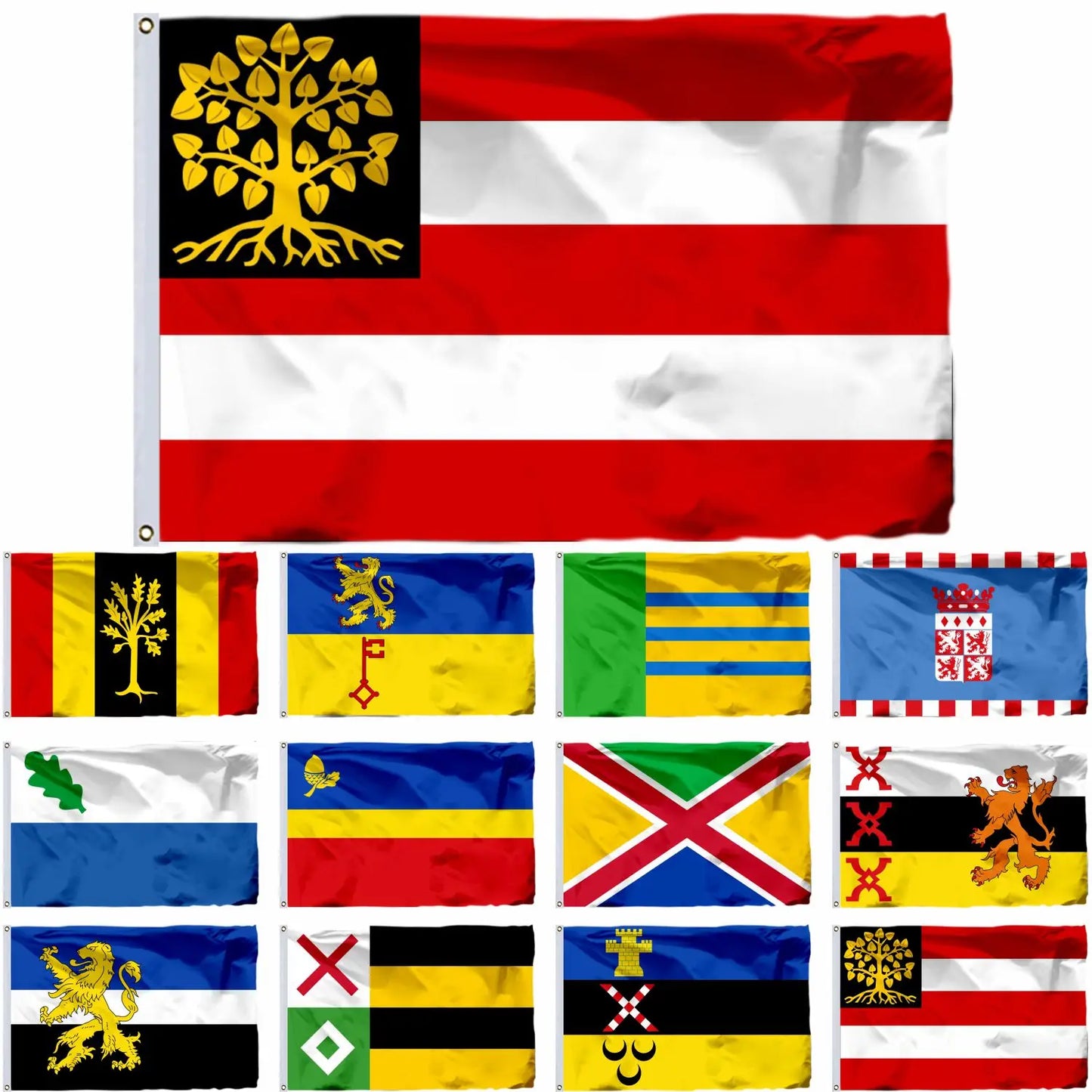 Netherlands North Brabant Municipal and City Flags