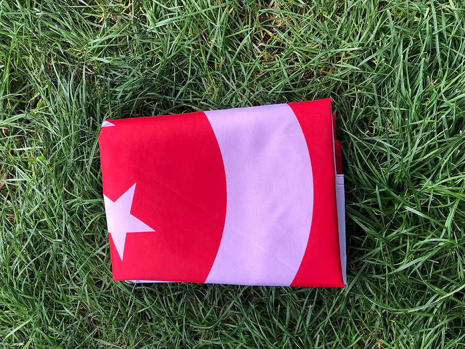 Singapore Flag