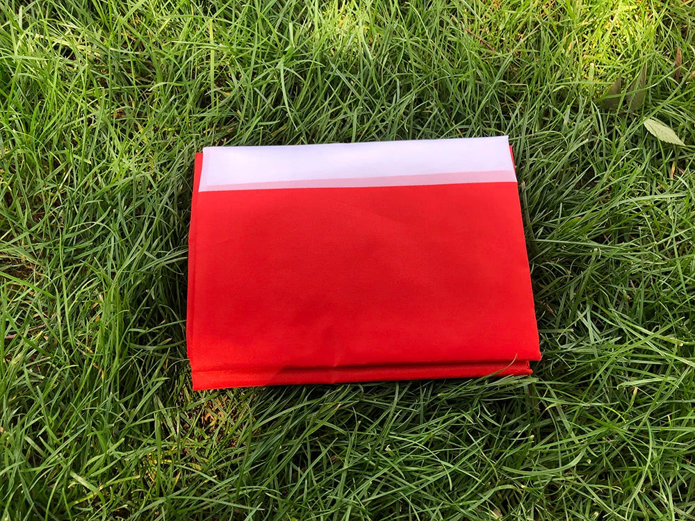 Denmark Flag