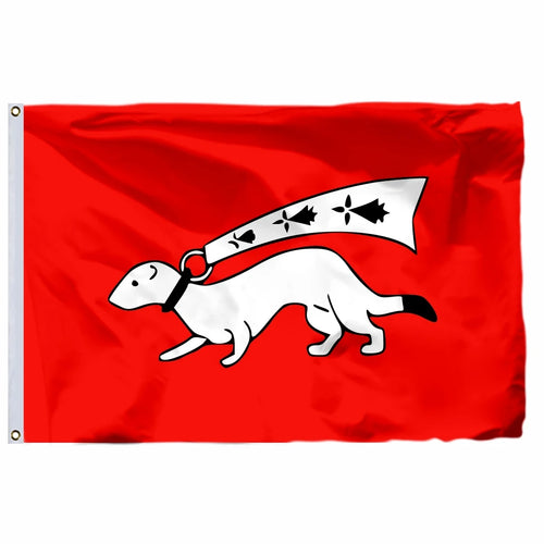 France 19 City Flags