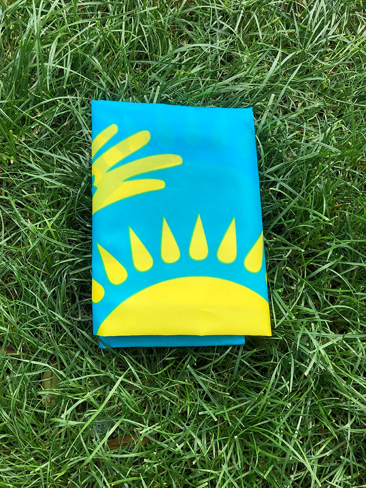 Kazakhstan Flag