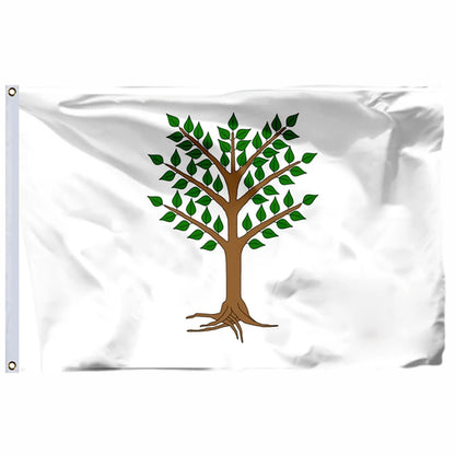 Italy Historical Flags