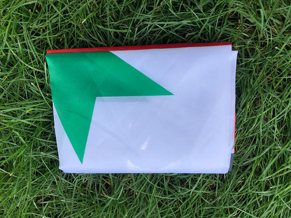 Syria Flag (1980-2024)