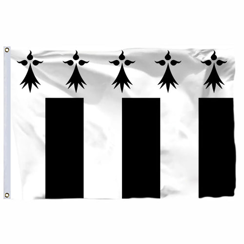 France 19 City Flags