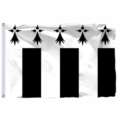 France 19 City Flags