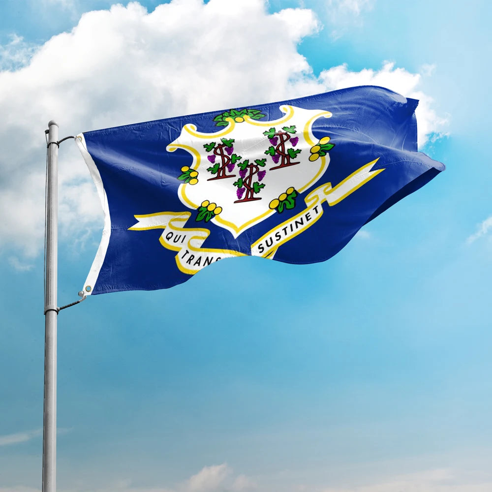 Connecticut Flag – US State Banner