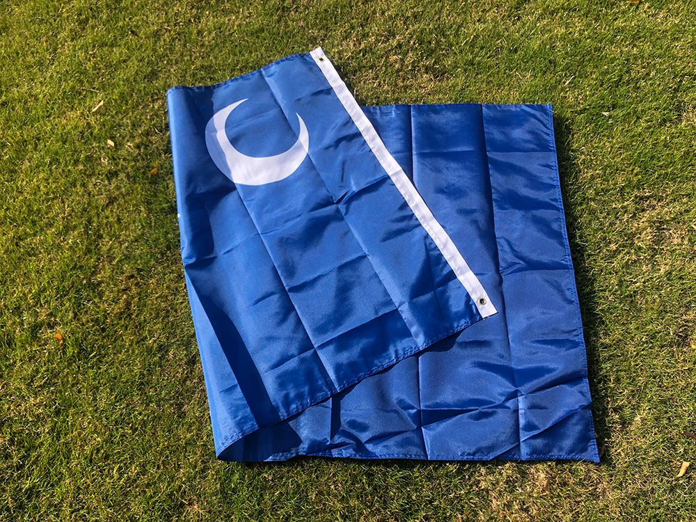 South Carolina Flag