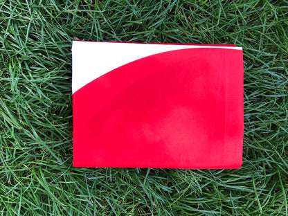 Japan Flag