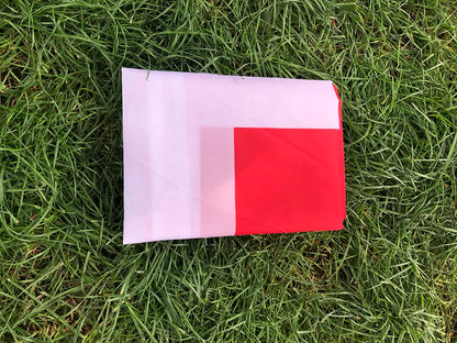 Switzerland Flag