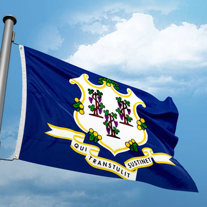 Connecticut Flag – US State Banner