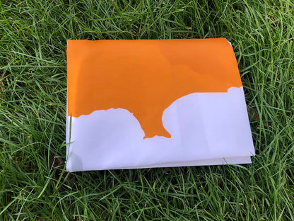 Cyprus Flag