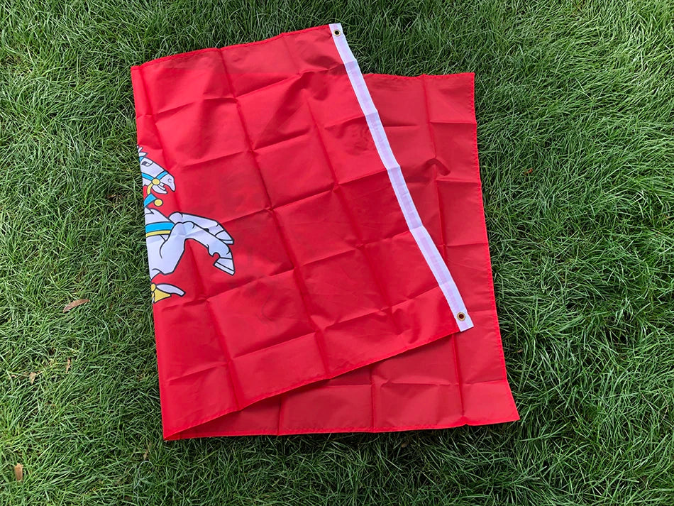 Lithuania Vytis Flag