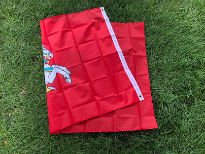 Lithuania Vytis Flag