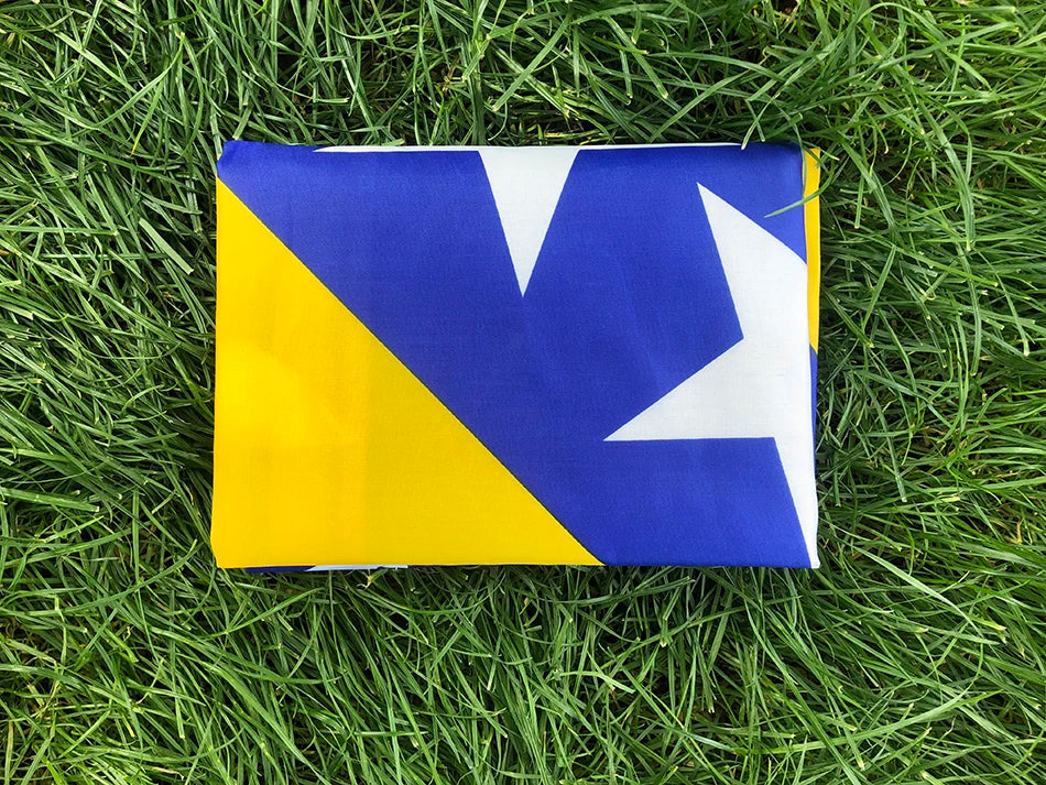 Bosnia and Herzegovina Flag